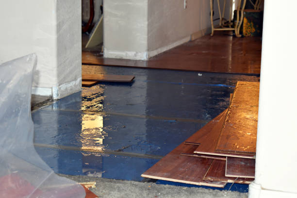 Professional Sewage Cleanup technician working in Durand, MI